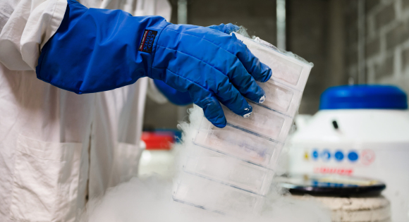 Laboratoire LIB